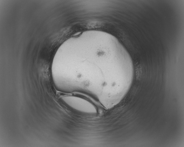 X0000076320327200610201645