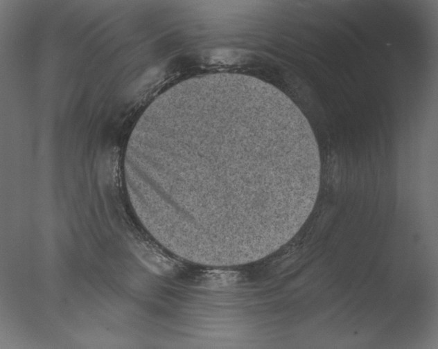 X0000076320328200610201645