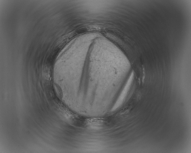 X0000076320331200610201645