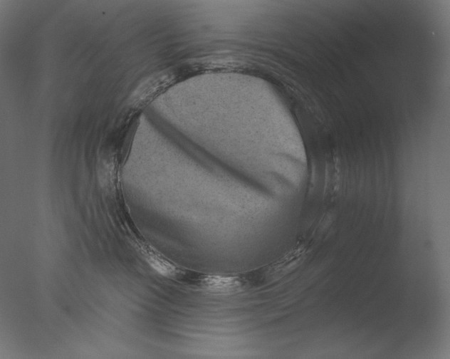 X0000076320333200610201645