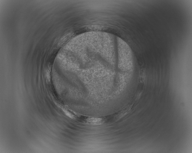 X0000076320334200610201645