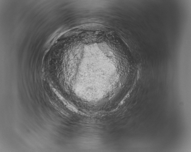 X0000076320339200610201644