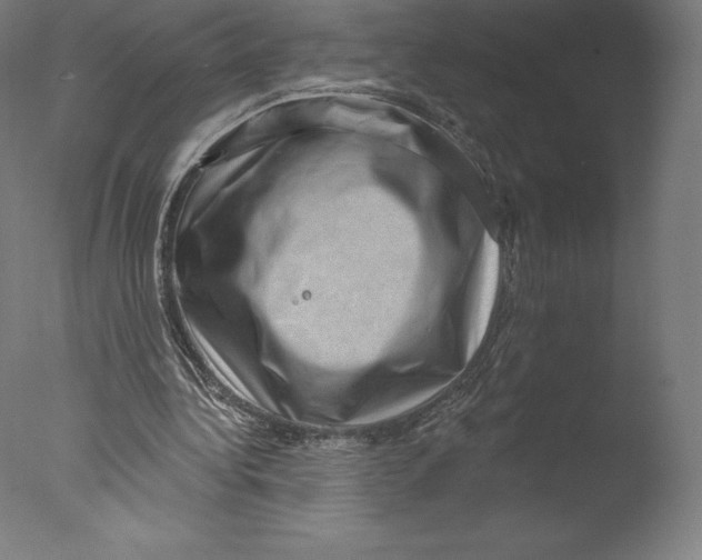 X0000076320340200610201644