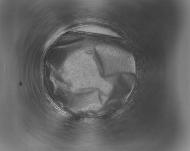 X0000076320341200610201644