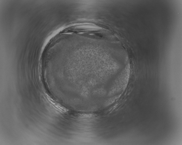 X0000076320342200610201644