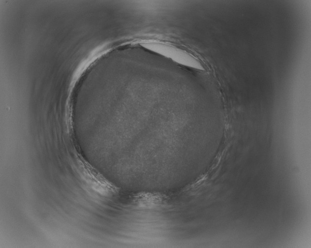 X0000076320343200610201644