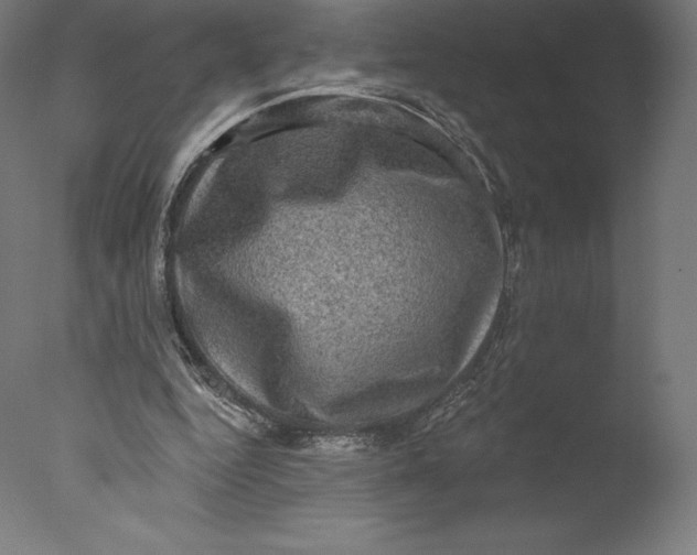 X0000076320344200610201644