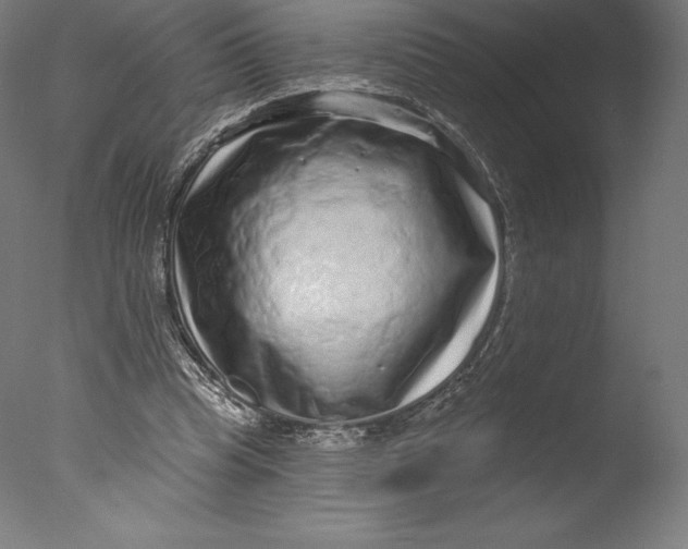 X0000076320345200610201644