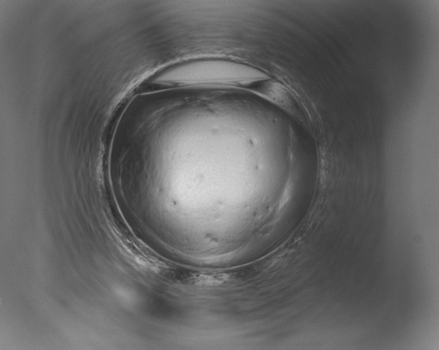 X0000076320346200610201644