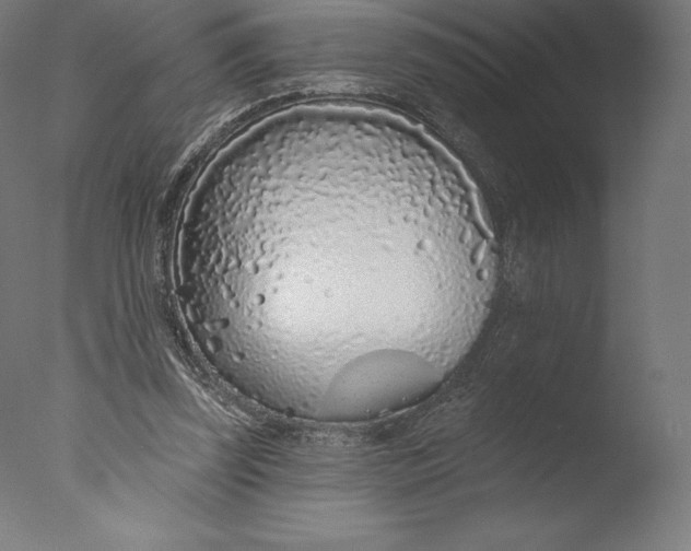 X0000076320347200610201644