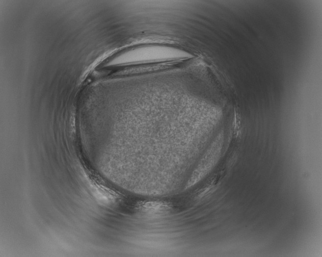 X0000076320348200610201644