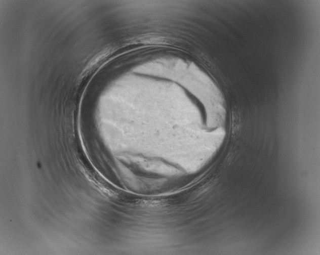 X0000076320349200610201644