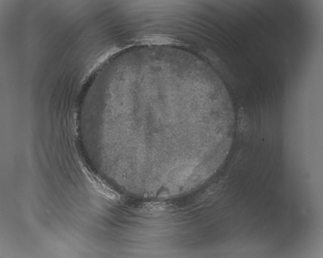 X0000076320351200610201644