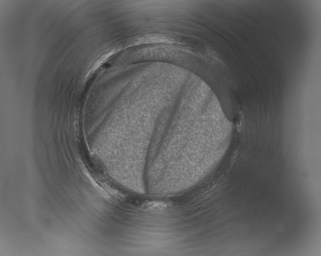 X0000076320352200610201644