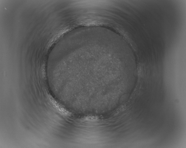 X0000076320353200610201644