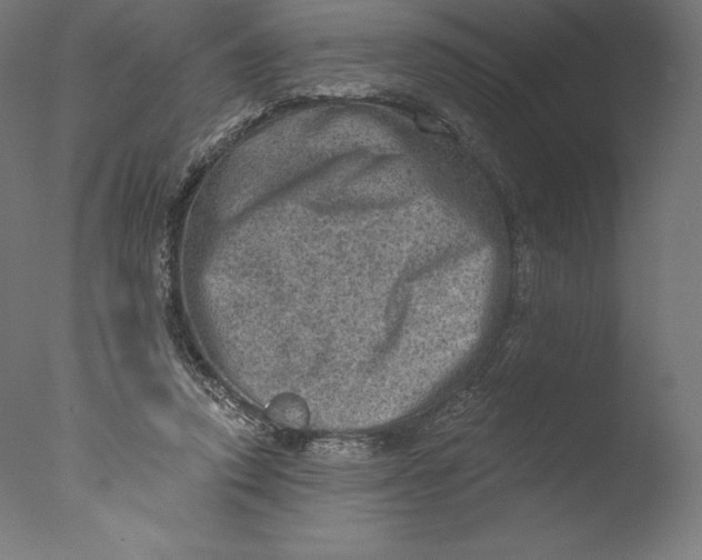 X0000076320354200610201644