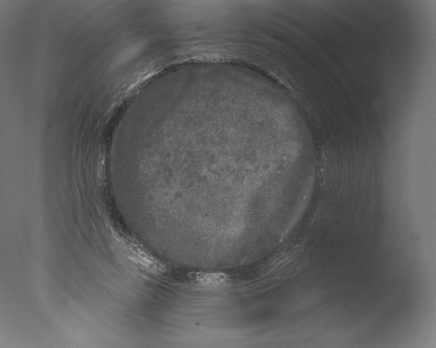 X0000076320355200610201645