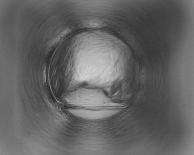 X0000076320358200610201645