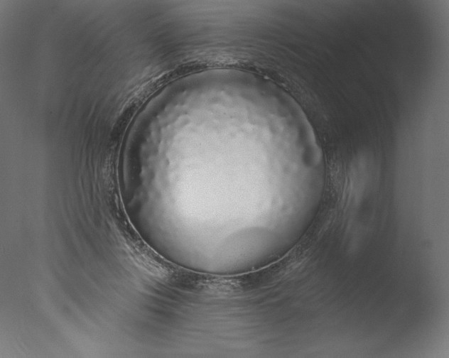 X0000076320359200610201645