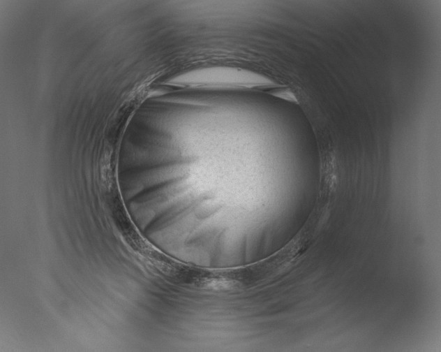 X0000076320360200610201645