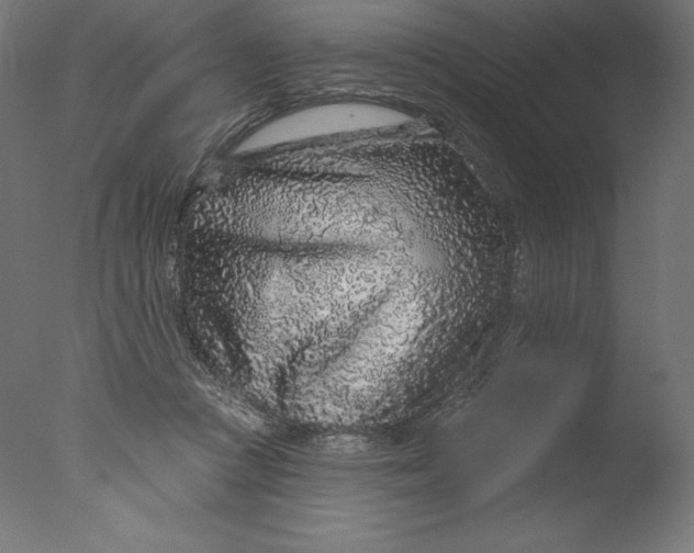 X0000076320361200610201645