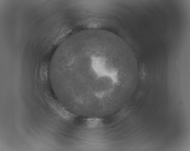 X0000076320363200610201645