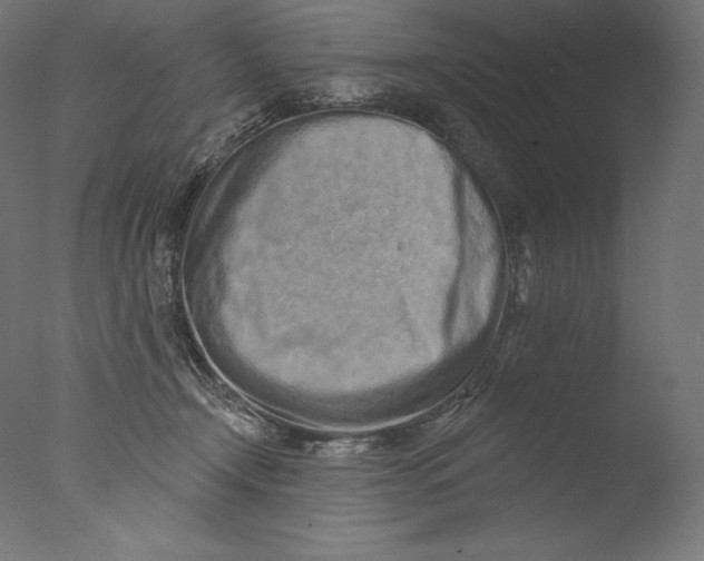 X0000076320366200610201645