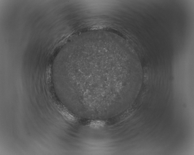 X0000076320369200610201645