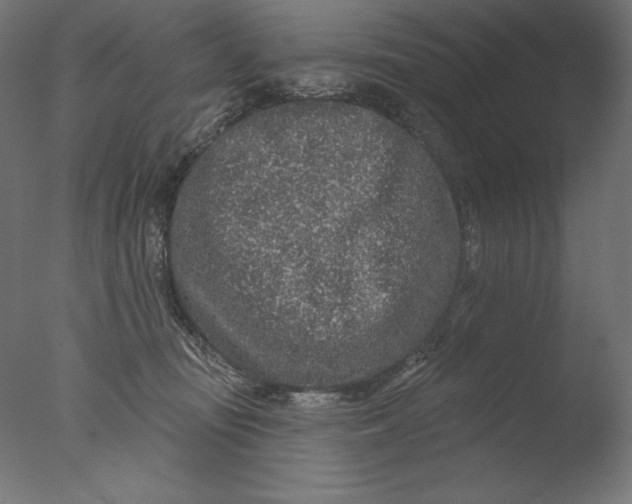 X0000076320371200610201645