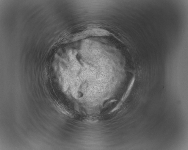 X0000076320373200610201645