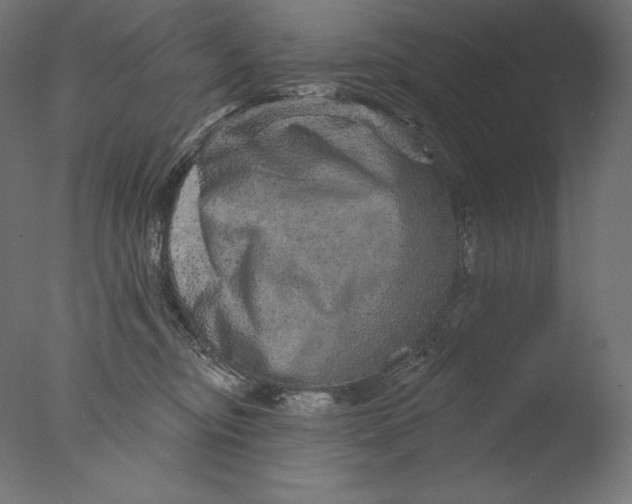 X0000076320374200610201645