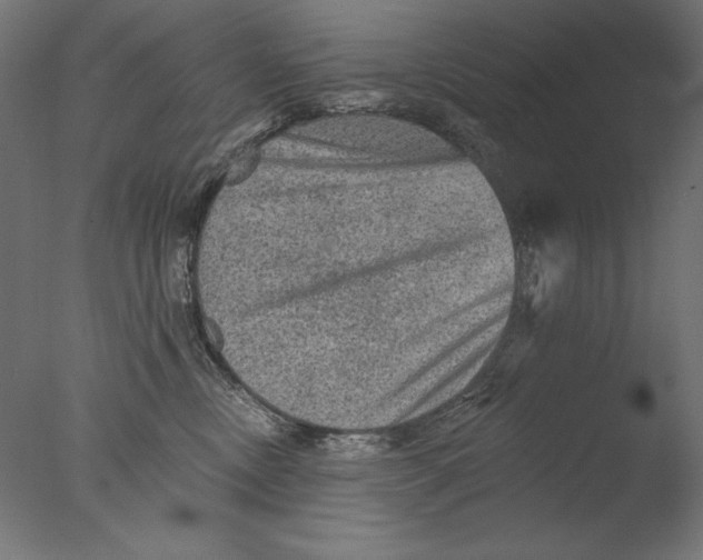 X0000076320378200610201645