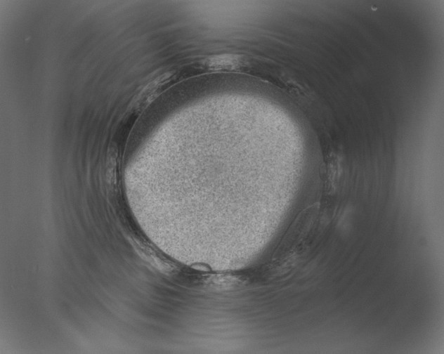 X0000076320379200610201645