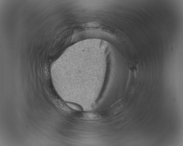 X0000076320380200610201645