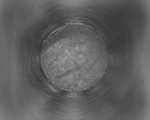 X0000076320381200610201645