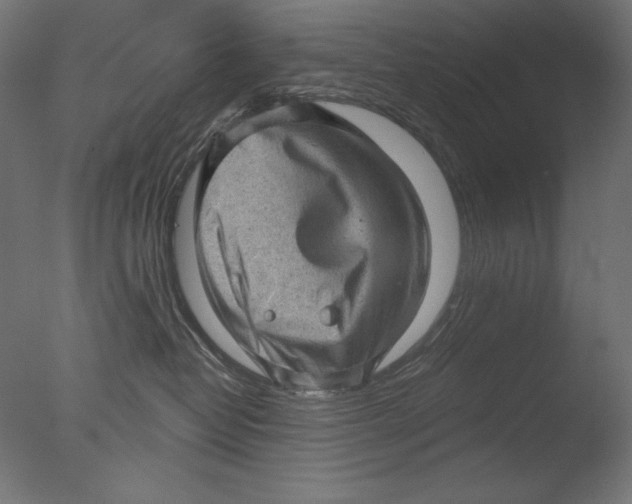 X0000076320382200610201645