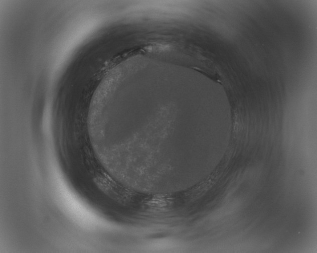 X0000076320383200610201645