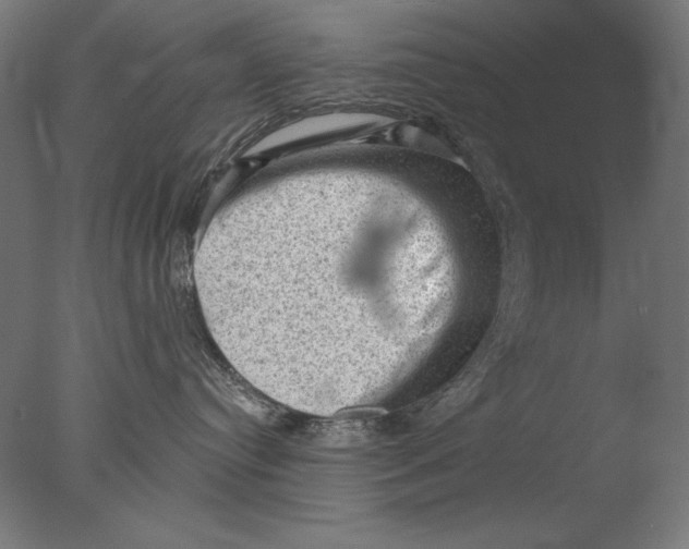 X0000076320384200610201645