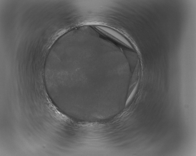 X0000076320385200610201644