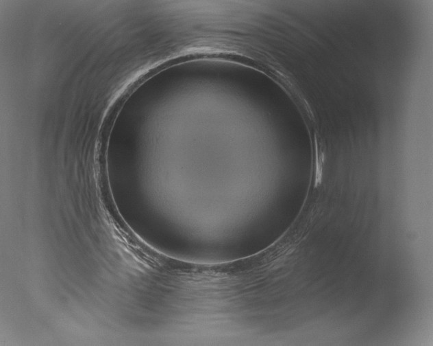 X0000076320387200610201644