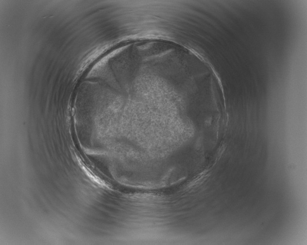 X0000076320389200610201644