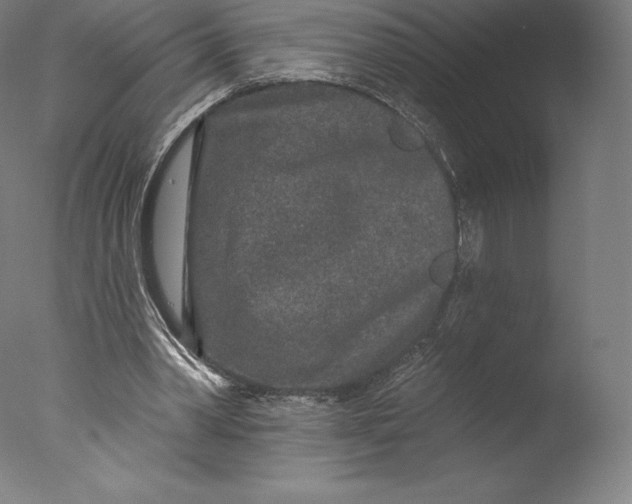 X0000076320390200610201644