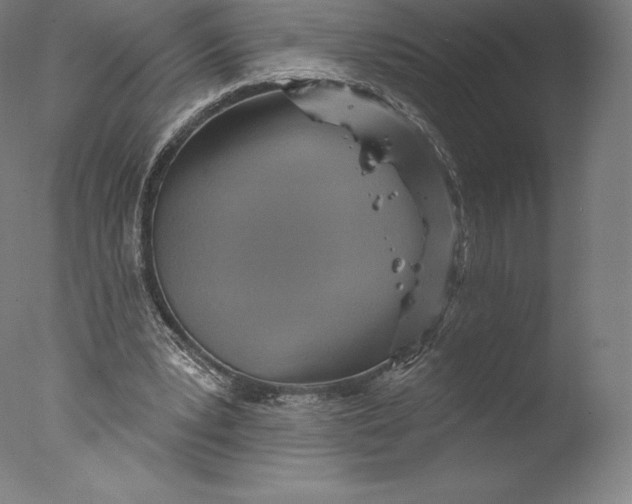 X0000076320391200610201644