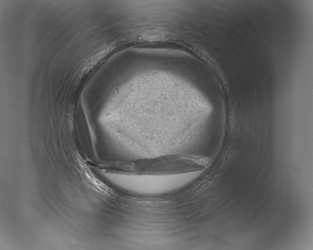 X0000076320393200610201644