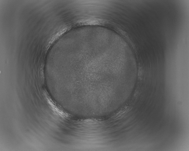 X0000076320394200610201644