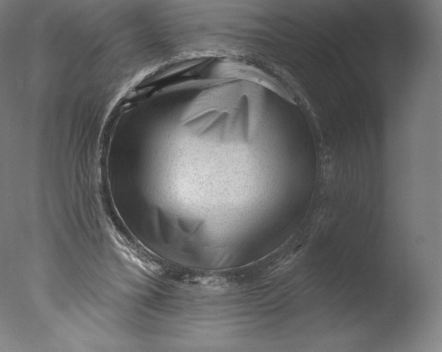 X0000076320395200610201644