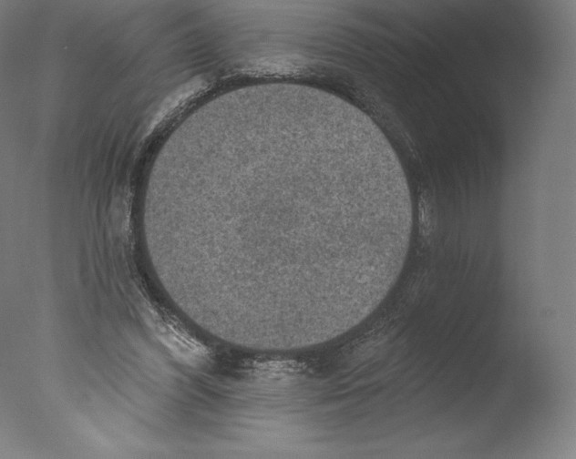 X0000076320396200610201644