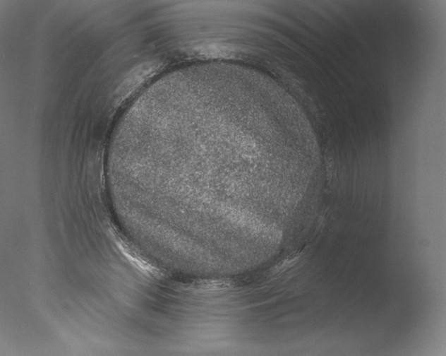 X0000076320398200610201644