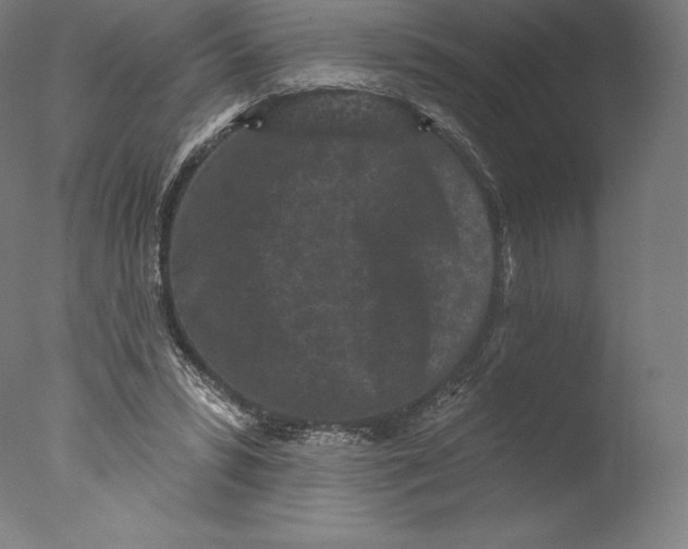 X0000076320399200610201644