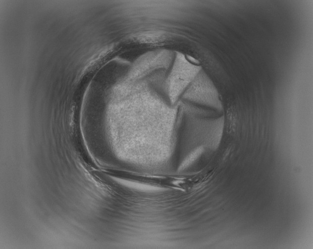 X0000076320404200610201644